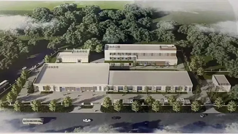 Fast Installation Steel Structure Hospital