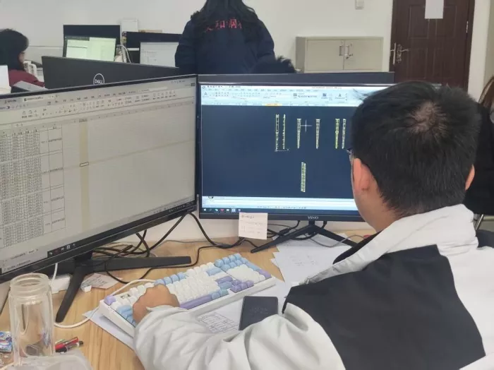 professional team